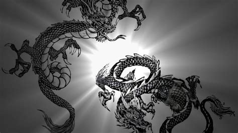 Dragon Black And White Wallpapers Wallpaper Cave