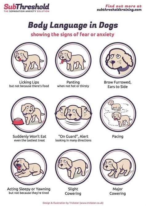 Dog Body Language 101 Understanding Dog Dog Training Dog Body