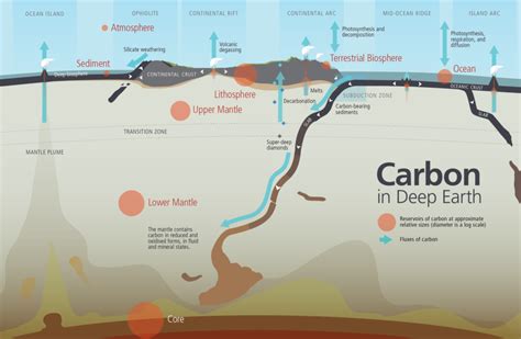 Reservoirs And Fluxes Of Carbon In Deep Earth Josh Wood Design