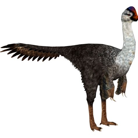 Gigantoraptor Ulquiorra Zt2 Download Library Wiki Fandom