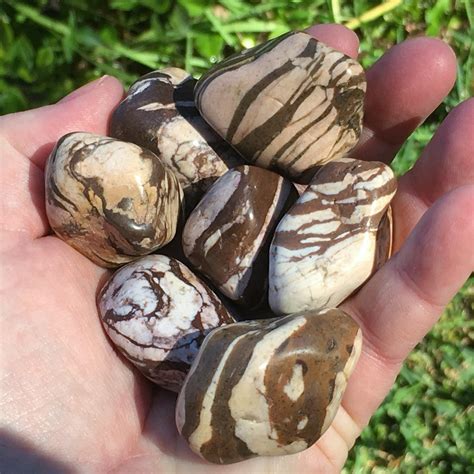Zebra Jasper Tumbles for nurture and earthing - The Rock Crystal Shop