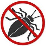 Pest Control Services Baltimore