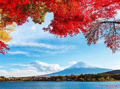 ฟูจิ ภูเขาไฟที่สวยงามระดับโลก | Wonderfulpackage.com