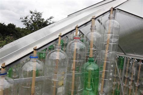 Building A Bottle Greenhouse Rhs Campaign For School Gardening
