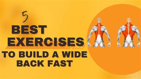 5 Best Exercises To Build A Wide Back Fast 75 Day Challenge Day 8