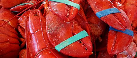 The Port Of Los Angeles International Lobster Festival