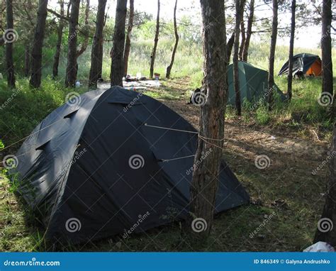 Forests Camping Stock Image Image Of Forest Summer Activity 846349