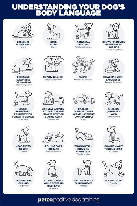 How To Read Dog Body Language Dogstore Artofit