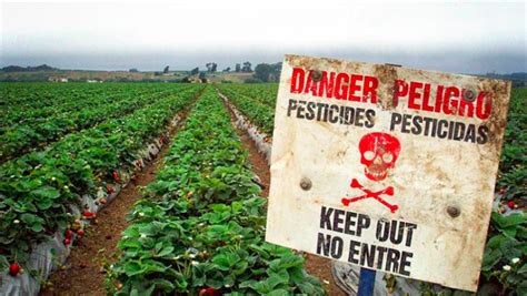 Millions Of People Poisoned By Pesticides Each Year Underscoring Need