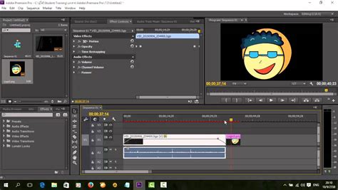 Its features have made it a standard among professionals. Adobe Premiere Pro CC Editing Clip Beginner - 12 สอนการใส่ ...