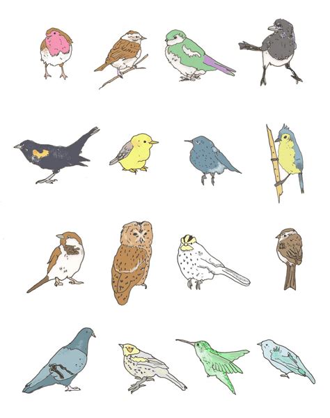 Carole Japp Birds