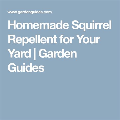 Homemade Squirrel Repellent For Your Yard Garden Guides Squirrel