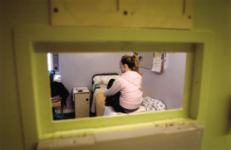 Experiences Of Pregnancy And Motherhood In Prison Birth Companions