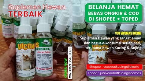 Sangat Ampuh, WA 0821-3543-9895 Toko Obat Kucing Tidak Mau Makan Curup