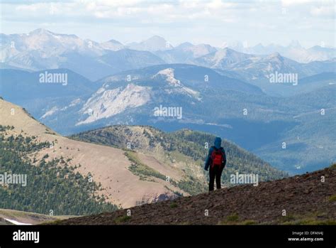 Hiker On Akamina Ridge In Akamina Kishinena Provincial Park British