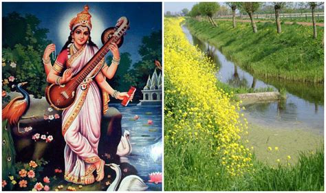 Basant Panchami 2018 Significance And Celebrations Of The Festival That Marks Beginning Of
