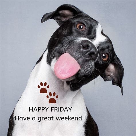 Happy Friday Let The Fun Begin Cute Dogs Cute Dogs Breeds Cute