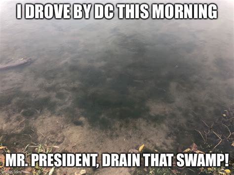 Drain The Swamp Imgflip