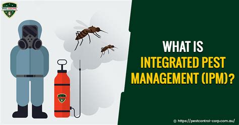 What Is An Integrated Pest Management Ipm Everything Explained