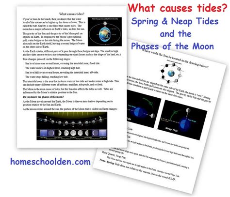 Ocean Activities The Moon And Tides Spring And Neap Tides And More