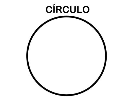 Un Circulo Es Un Polígono Por Que Brainlylat