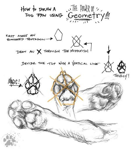 Paw prints png images vector and psd files free download on pngtree. Wolf/Dog paws drawing tips | Drawing | Pinterest ...