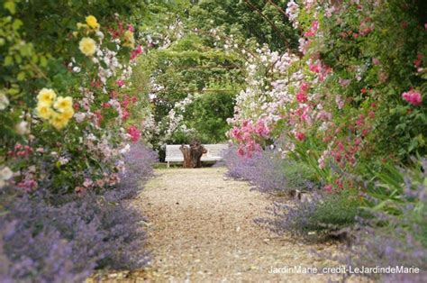 Se Perdre Dans Les Jardins De Roses Blog Voyage