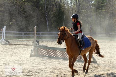 Benefits Horseback Riding For Kids Do It All Working Mom