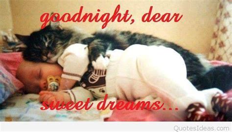 Beautiful good night wishes | good night text messages. Funny goodnight message picture