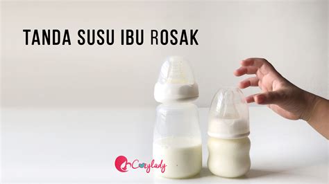 Keunggulannya berawal dari kolostrum yang merupakan cairan pertama yang dikeluarkan oleh. Tanda Susu Ibu Rosak - Cozy Lady