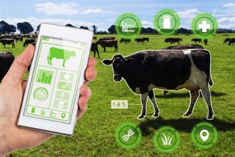 Ways Modern Technology Is Improving Livestock Farming Urban Farm Online