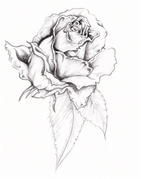 The black rose is also a popular emo and gothic design. Rose Tattoos Designs, Ideas and Meaning | Tattoos For You