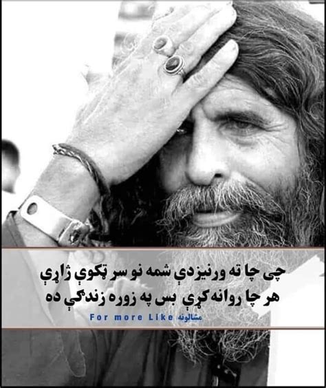 Idea By Harris彡ķ On پشتو شعرونه Pashto Shayari Pashto Quotes Poetry