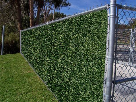 List Of Plants To Cover Fence Panels With New Ideas Home Decorating Ideas