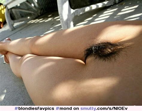 Hairy Mound Mond Pubis Pubic Mound Pussy Hairy Pussy Hairy Hairy Mound