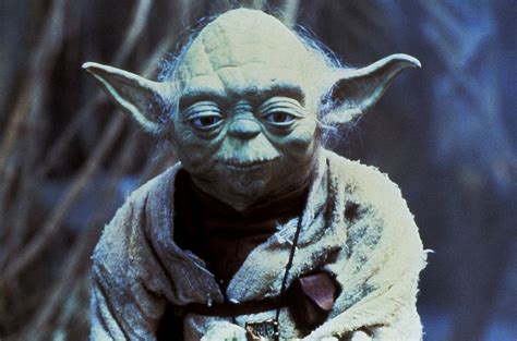 Di Che Specie è Yoda Di Star Wars Ipotesi E Curiosità Culturapop