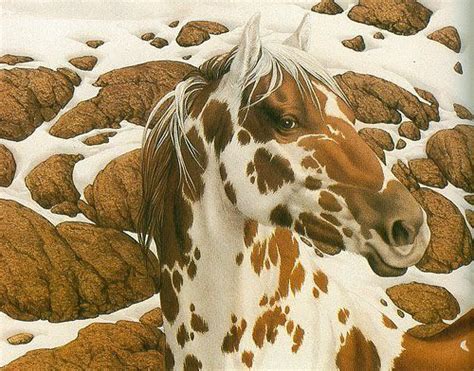 The Art Of Camouflage 6 Bev Doolittle Giclee Canvas And Paper