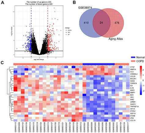 Identification And Validation Of Aging Related Genes In Copd Based On