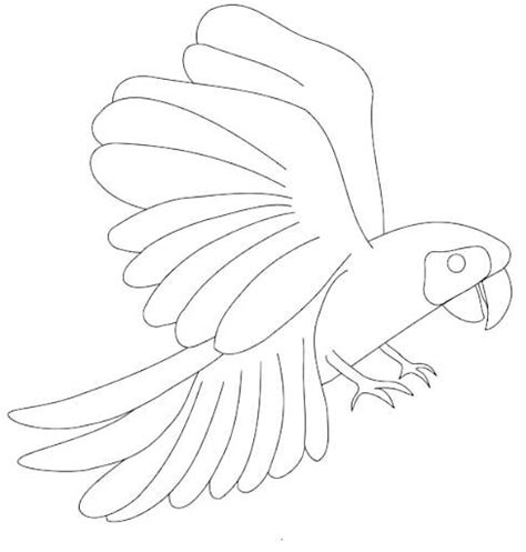 Guacamayo En La Selva Para Colorear Imprimir E Dibujar Dibujos Colorear Com