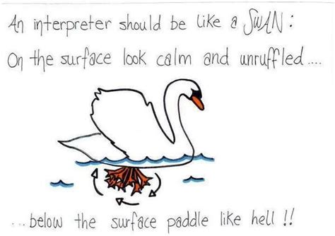 An Interpreter Should Be Like A Swan On The Surface Look Calm And