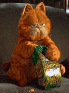 In the internet's early years, gifs (and the marquee and blink tags) were the primary method of adding movement to a web page. Gifs Animados de Garfield, la Película ~ Gifmania