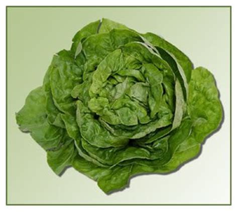New Lettuce Recall Organic Authority