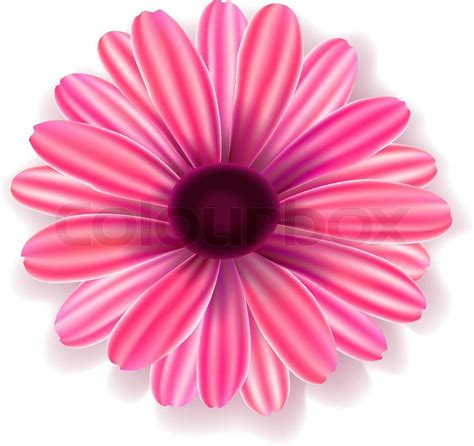 Lila Blume Vektorgrafik Colourbox
