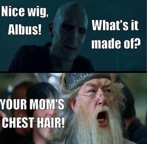 25 of the most hilarious harry potter memes inverse