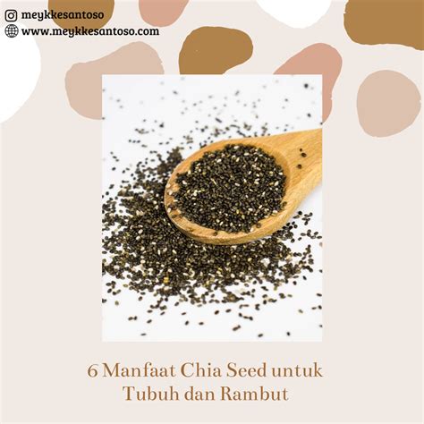 Pertimbangkan juga harganya jika anda ingin mengonsumsi chia seed untuk jangka panjang. 6 Manfaat Chia Seed untuk Tubuh dan Rambut - Meykke ...