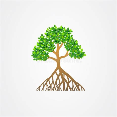 Mangrove Tree With Roots And Green Leaves Vector Illustration Royalty