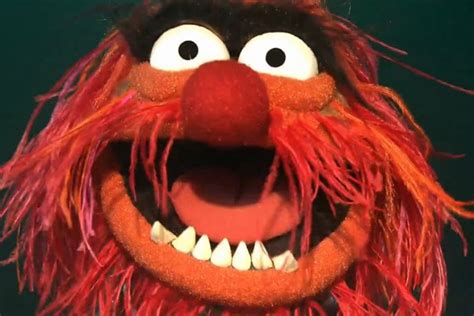 The Top 25 Muppet Characters Ranked Cinemablend