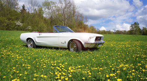 Ford mustang mercedes benz sl classic cars for sale in dusseldorf dortmund essen frankfurt. 1968er Ford Mustang Cabriolet, Ford - 6269805621 mieten ...