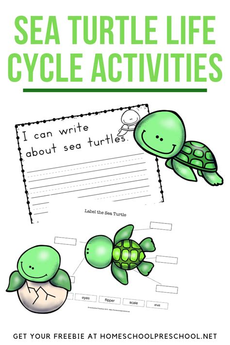 Preschool Sea Turtle Life Cycle Printable Unit Study In 2020 Sea Turtle