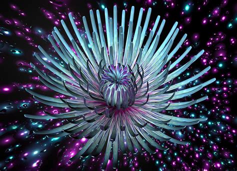 Surreal Flower Digital Art By Louis Ferreira Fine Art America